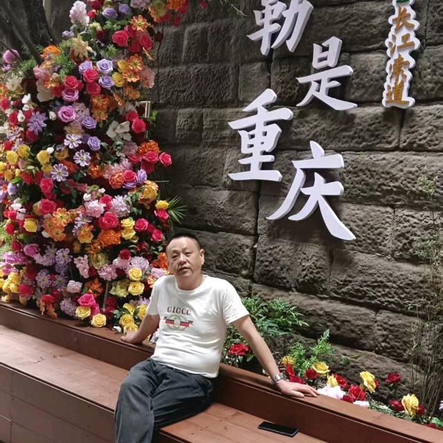 七分酿月光