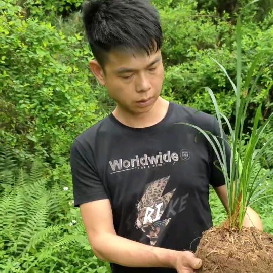 小李家山货