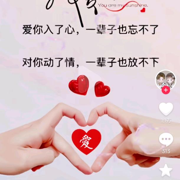 余生随心