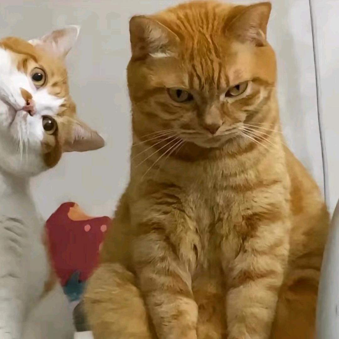 Kawhi（刷到过王源版）