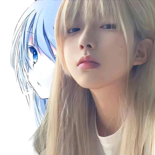 雾会散