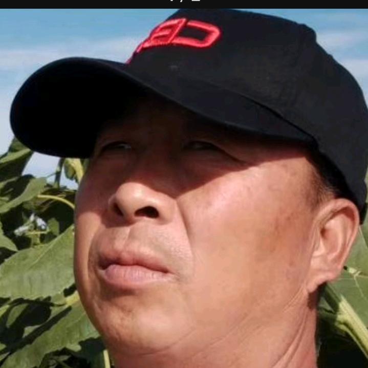 人与自然