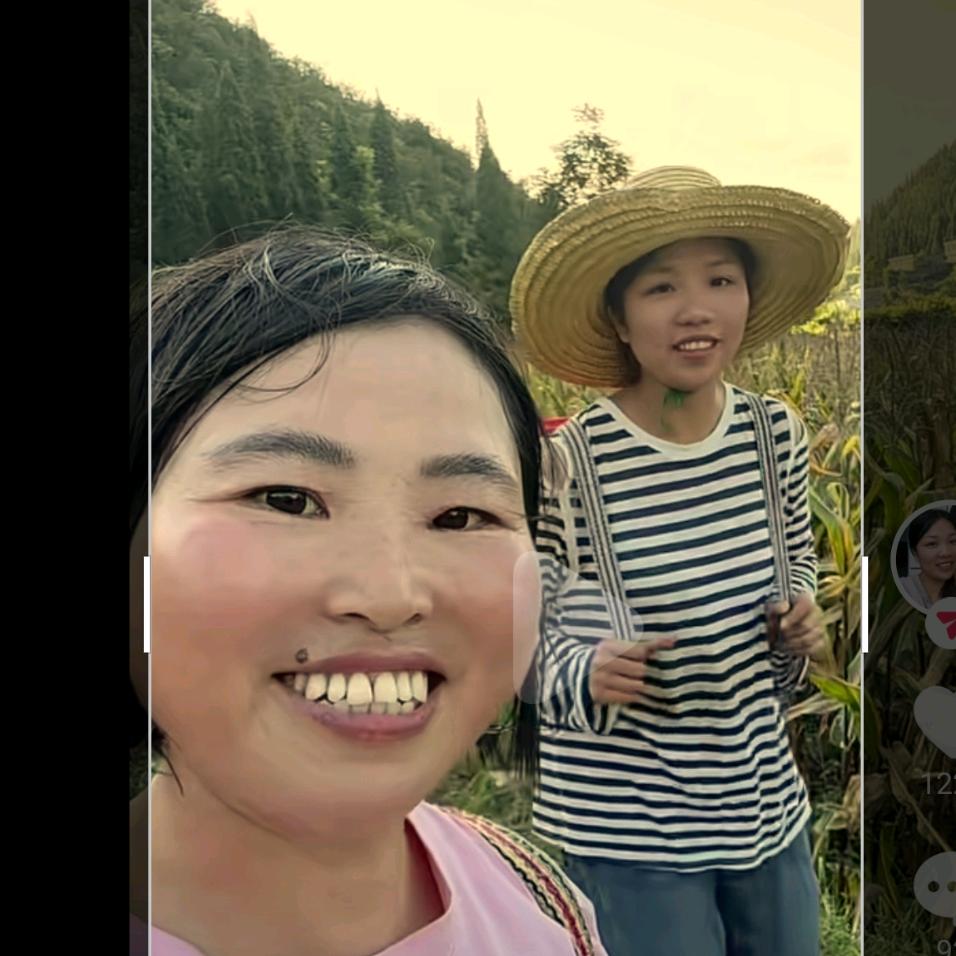 燕子的二嫂