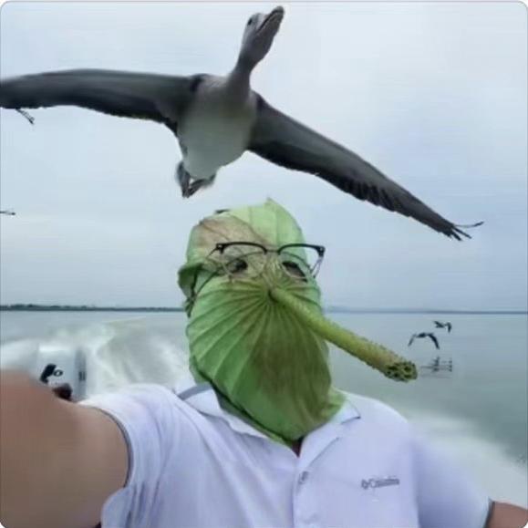 月亮不睡我不睡