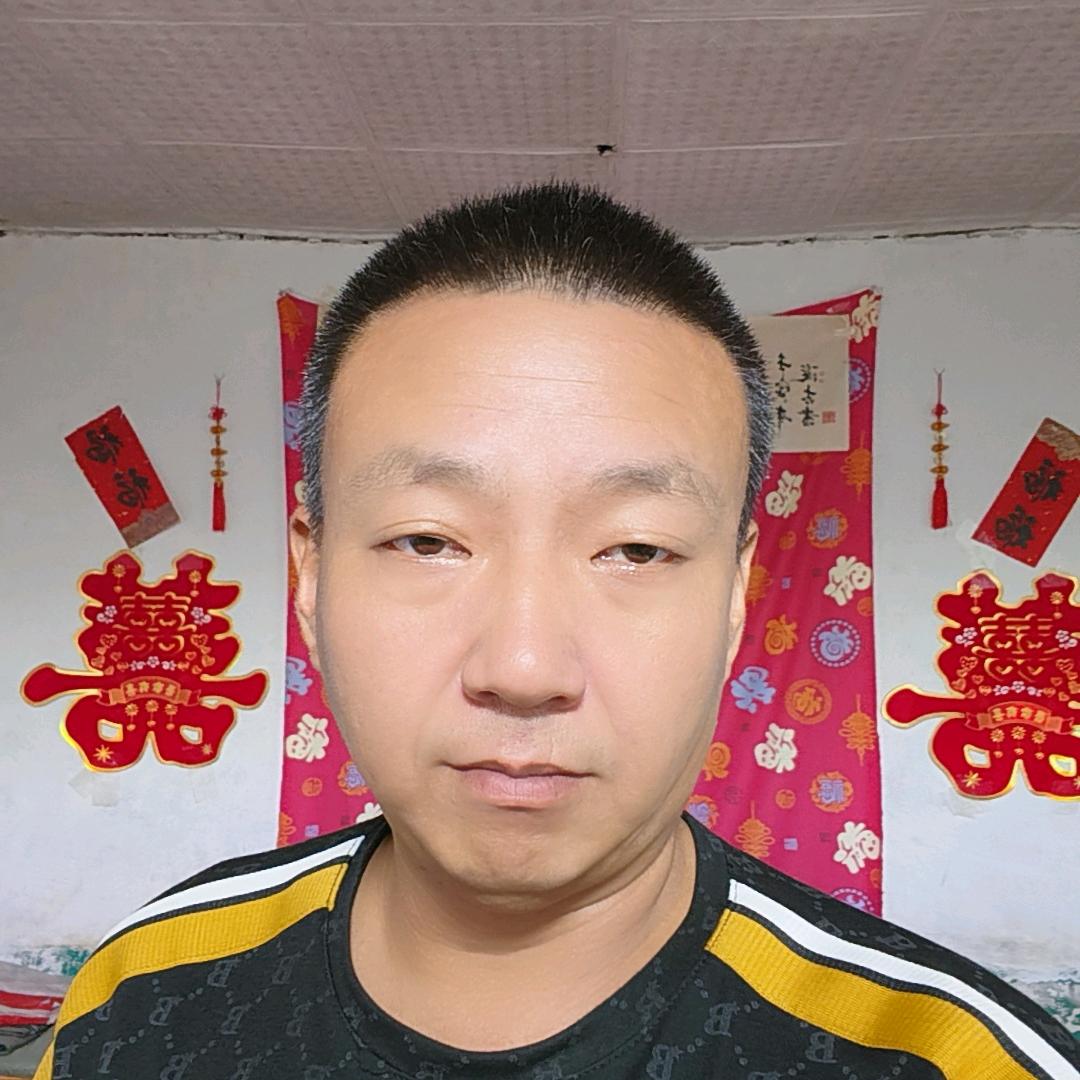 金鲤宝 【威】