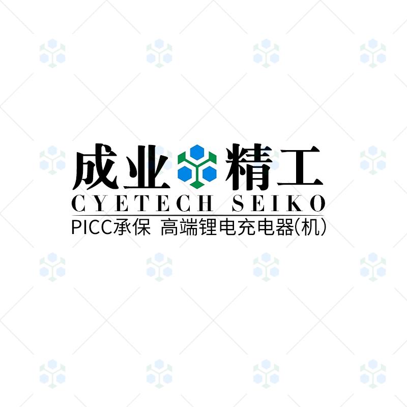 成业·精工 高端锂电充电器（机）