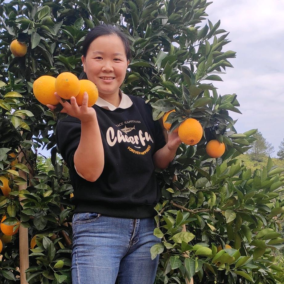 @俊哆宝生活记（赣南脐橙）
