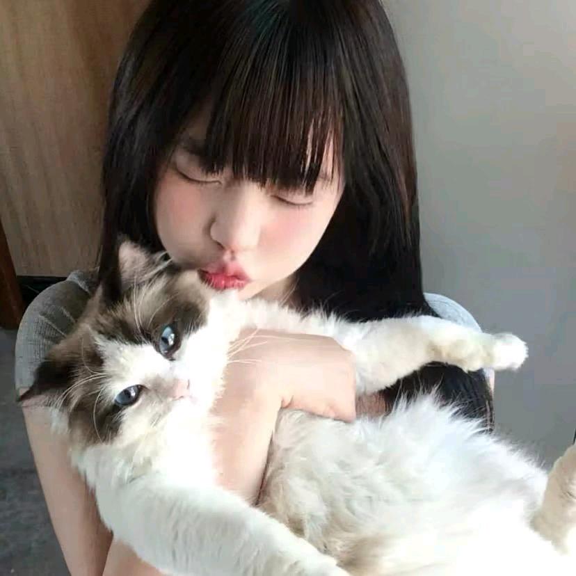 小新🎀