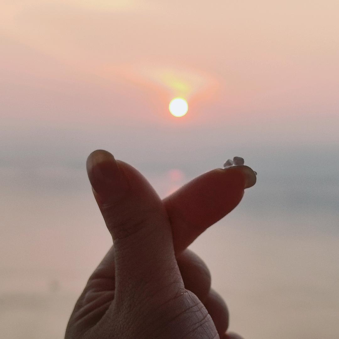海宁皮草 源头厂家