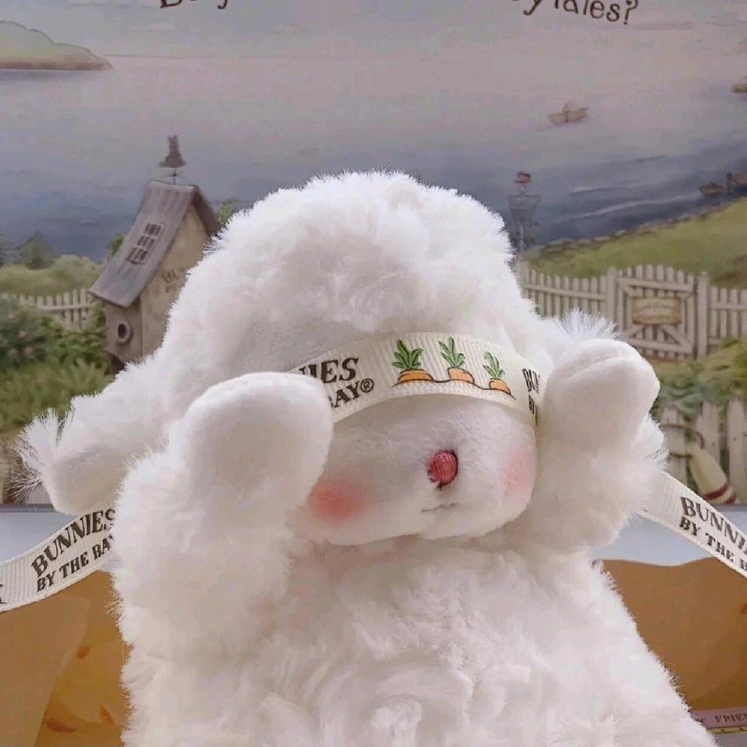 不要靠近我