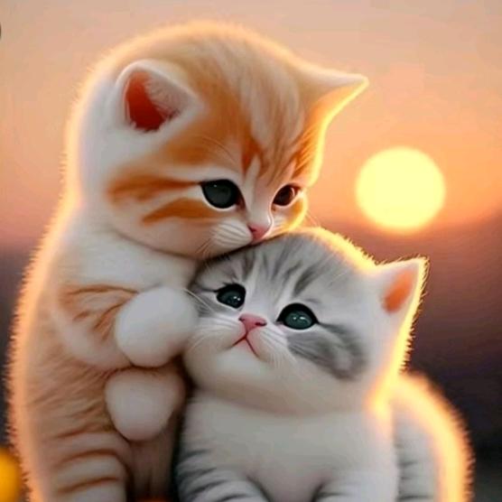 🤣咖啡不解酒的醉😂