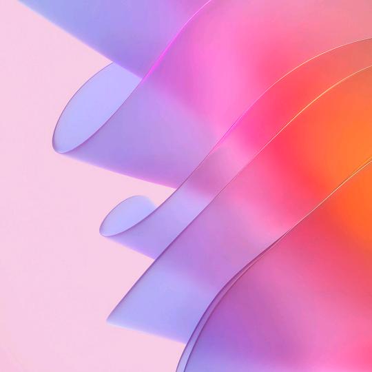 金展