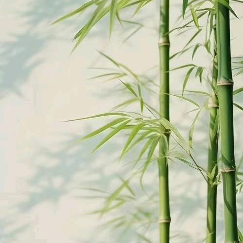 春和景明