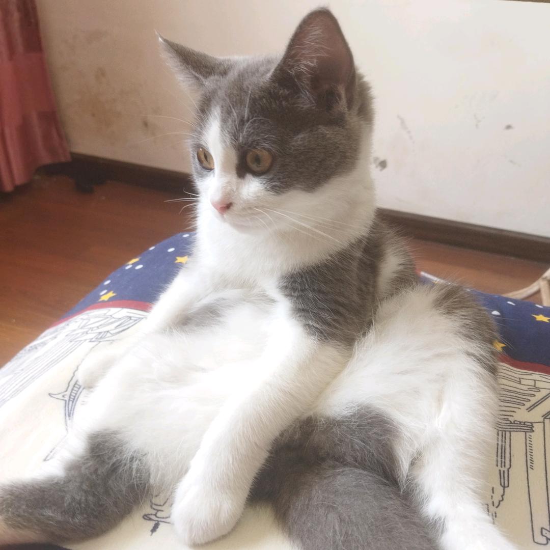 ^0^神秘人^0^