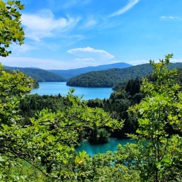 用户人生都有故事.人生如茶.人生很短暂.