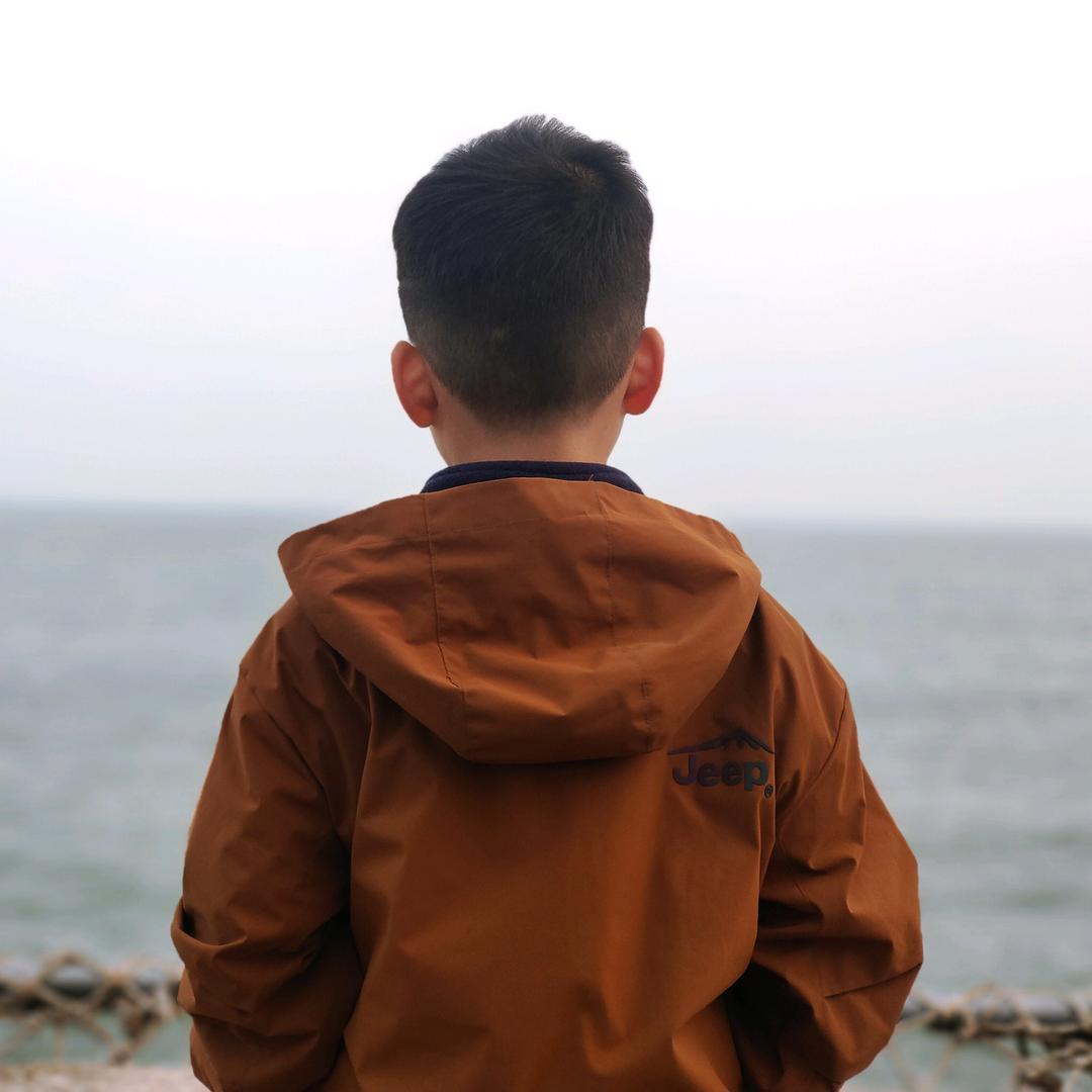 进击的诺宝（学习产品测评）