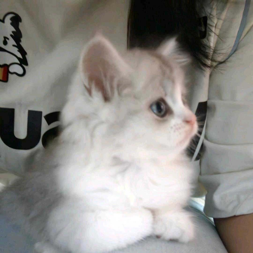 唯唯七