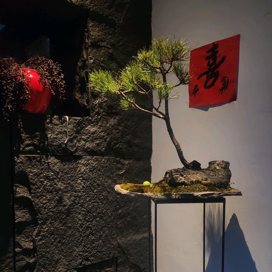 腾龙山房（文化美宿）
