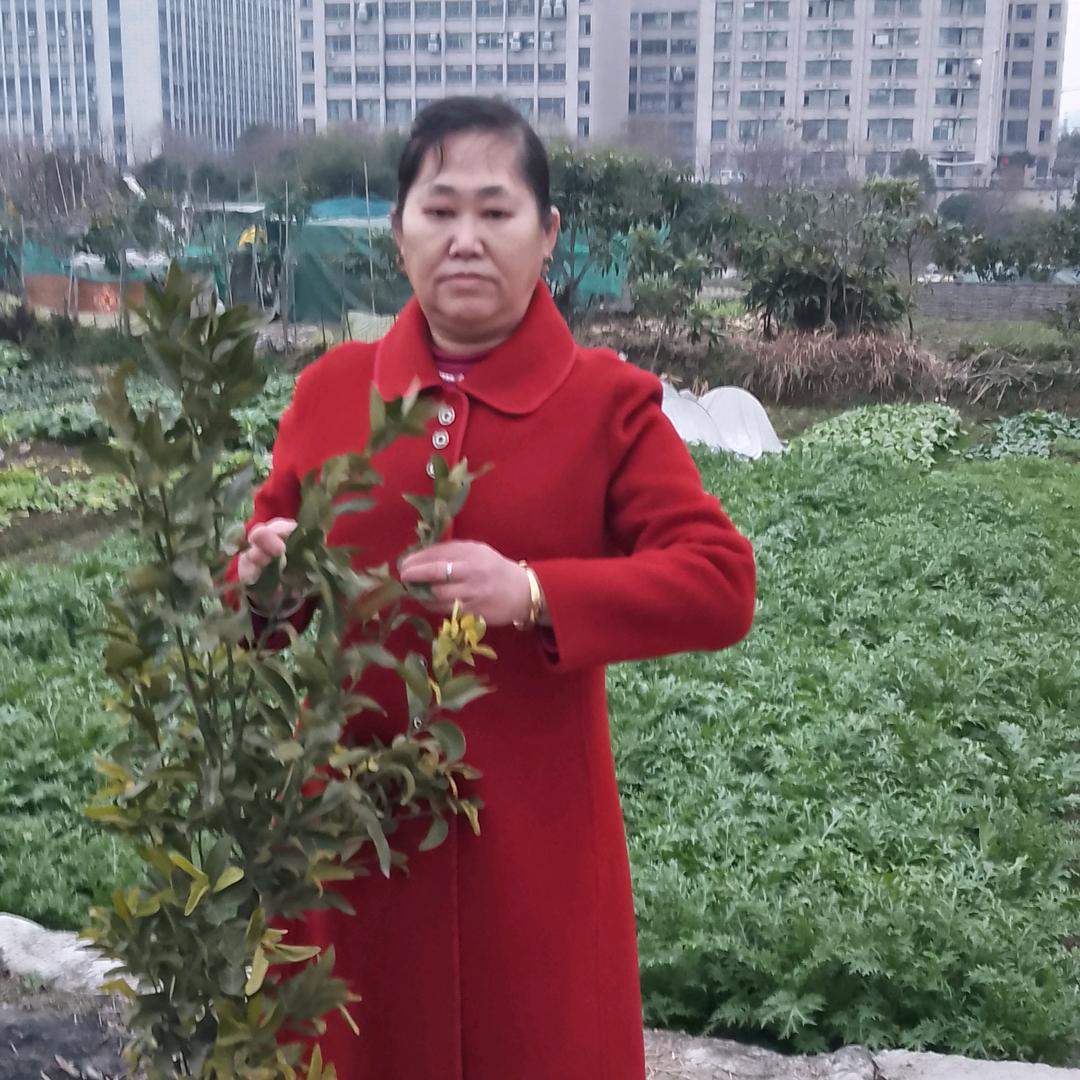 王吉花