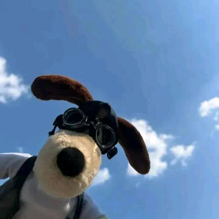 ！！！