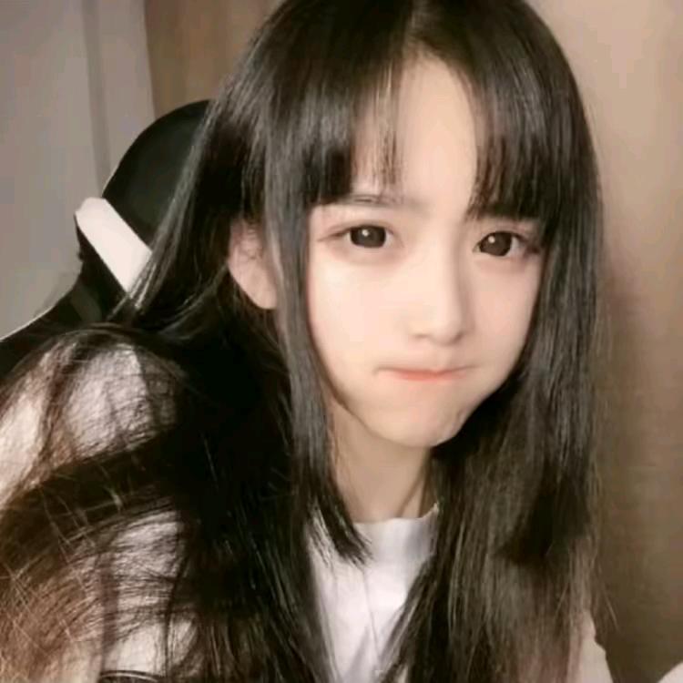 布丁熊的熊