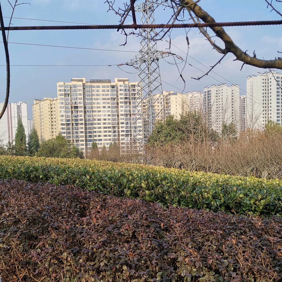 做饭大叔