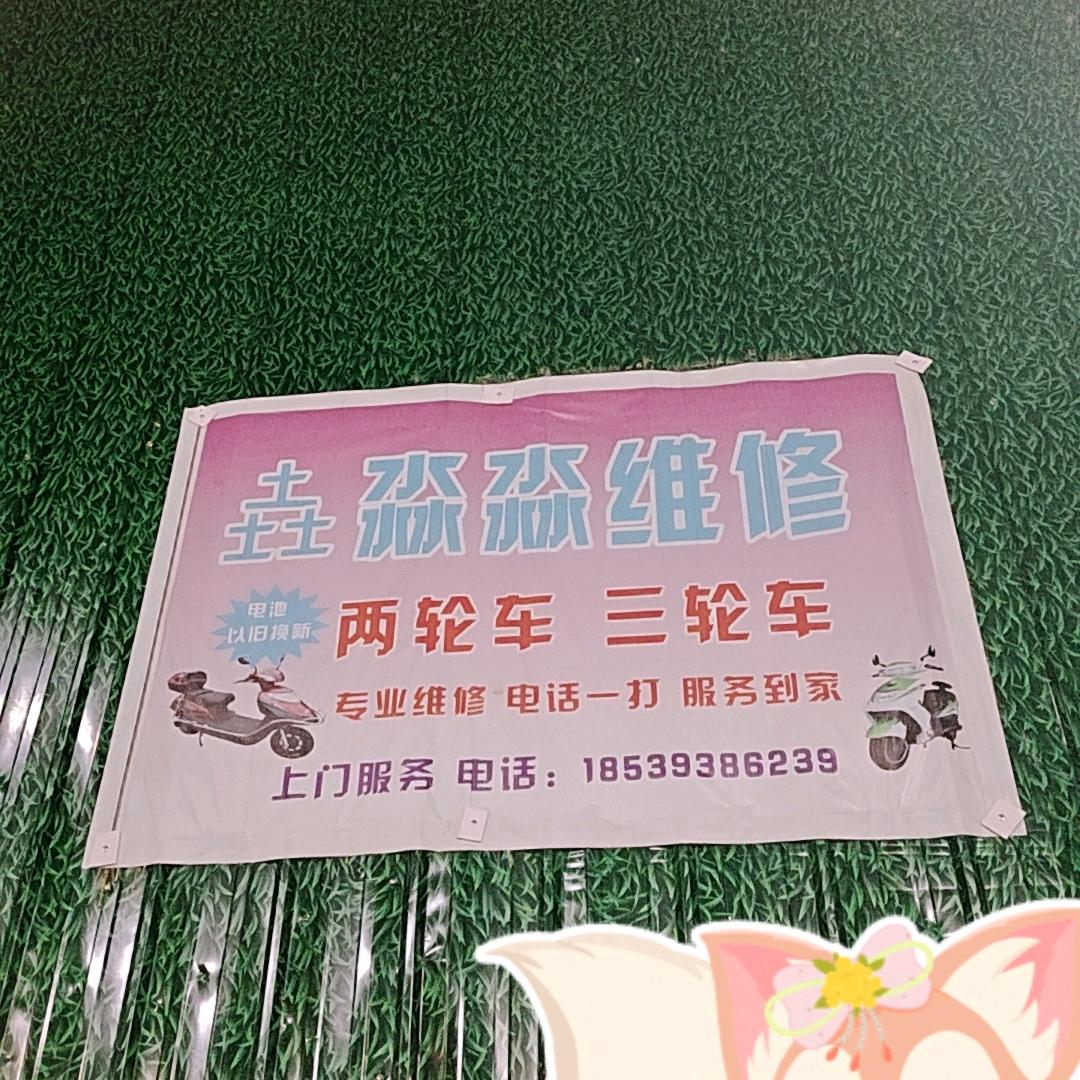 垚淼淼电动车维修