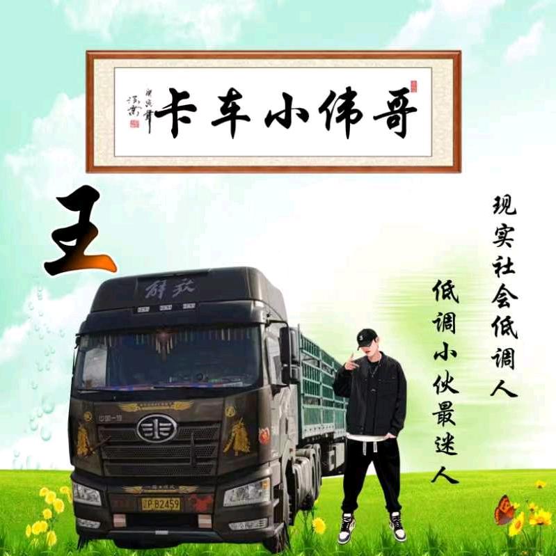 卡车小伟哥
