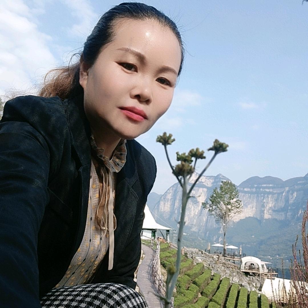 凤姐 吖