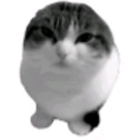 gdlml头像