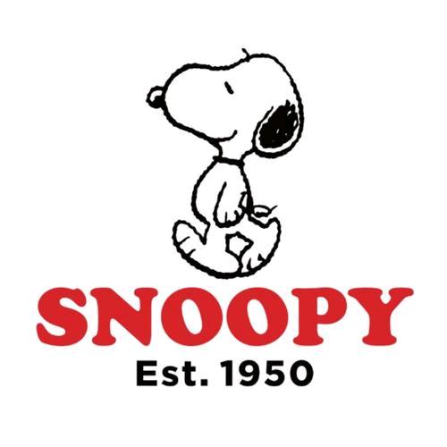 史努比Snoopy品牌正品童装服饰