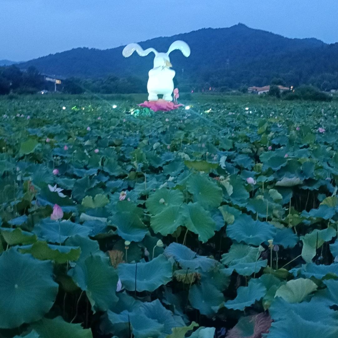 华厨美食