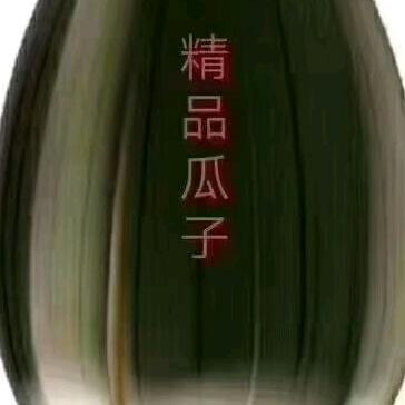 探花者（海龙）（产地精品瓜籽直发）