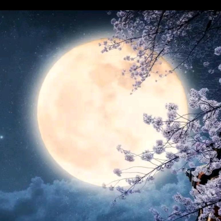 守得云开见月明