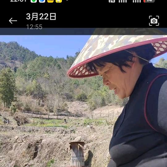呵笑