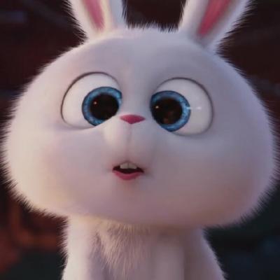 🥕兔啾啾🐰⁵¹³₉₁₃