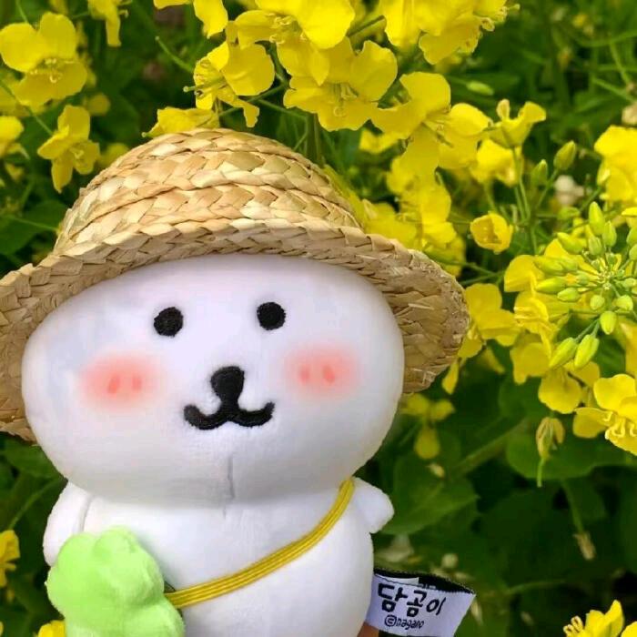 ☁软绵绵