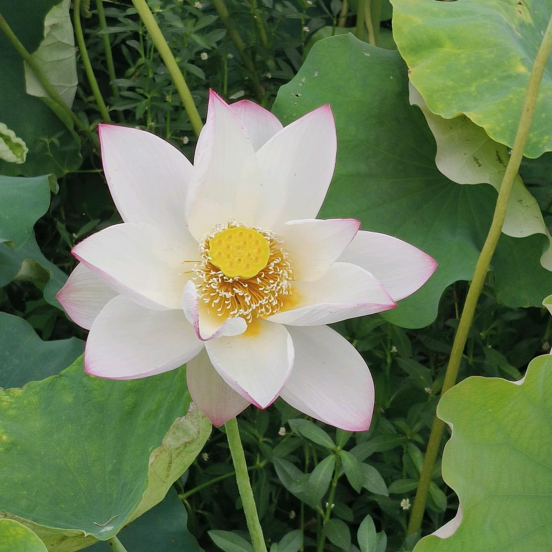 人有逆天之时，天无绝人之路