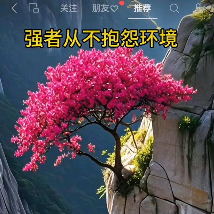 三生有幸