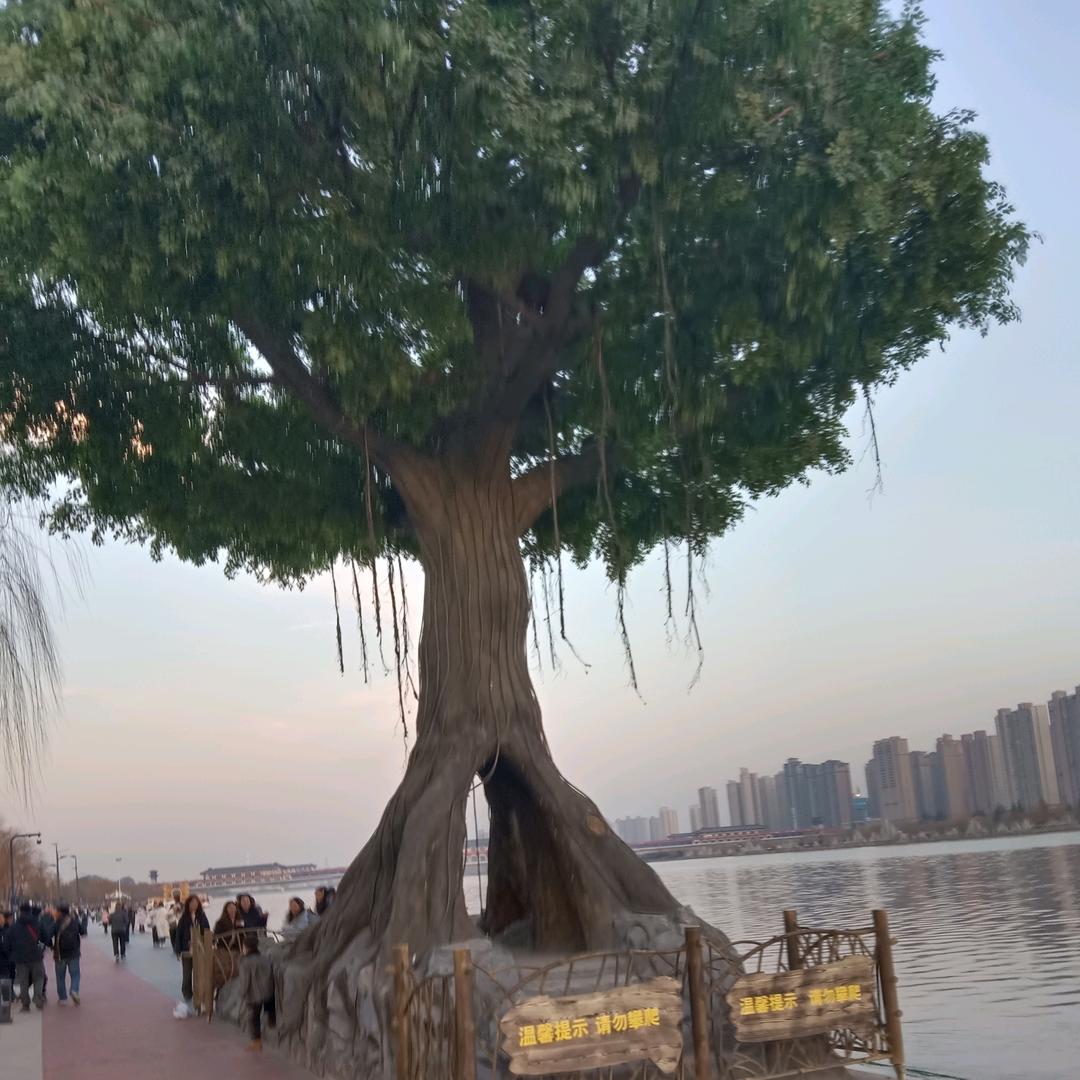 乌昂 王