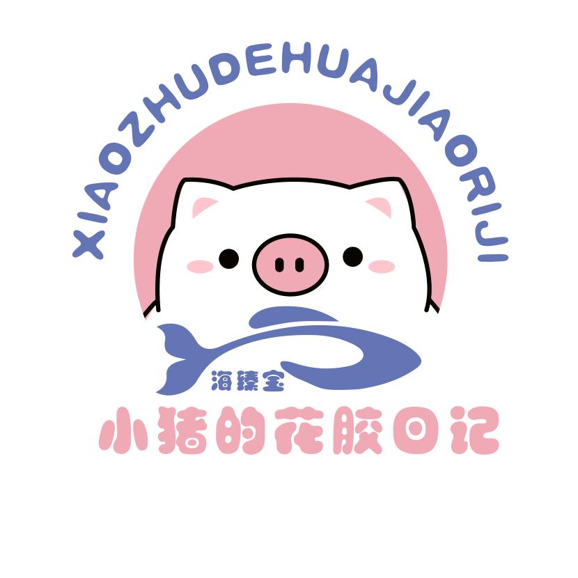 小猪的花胶日记