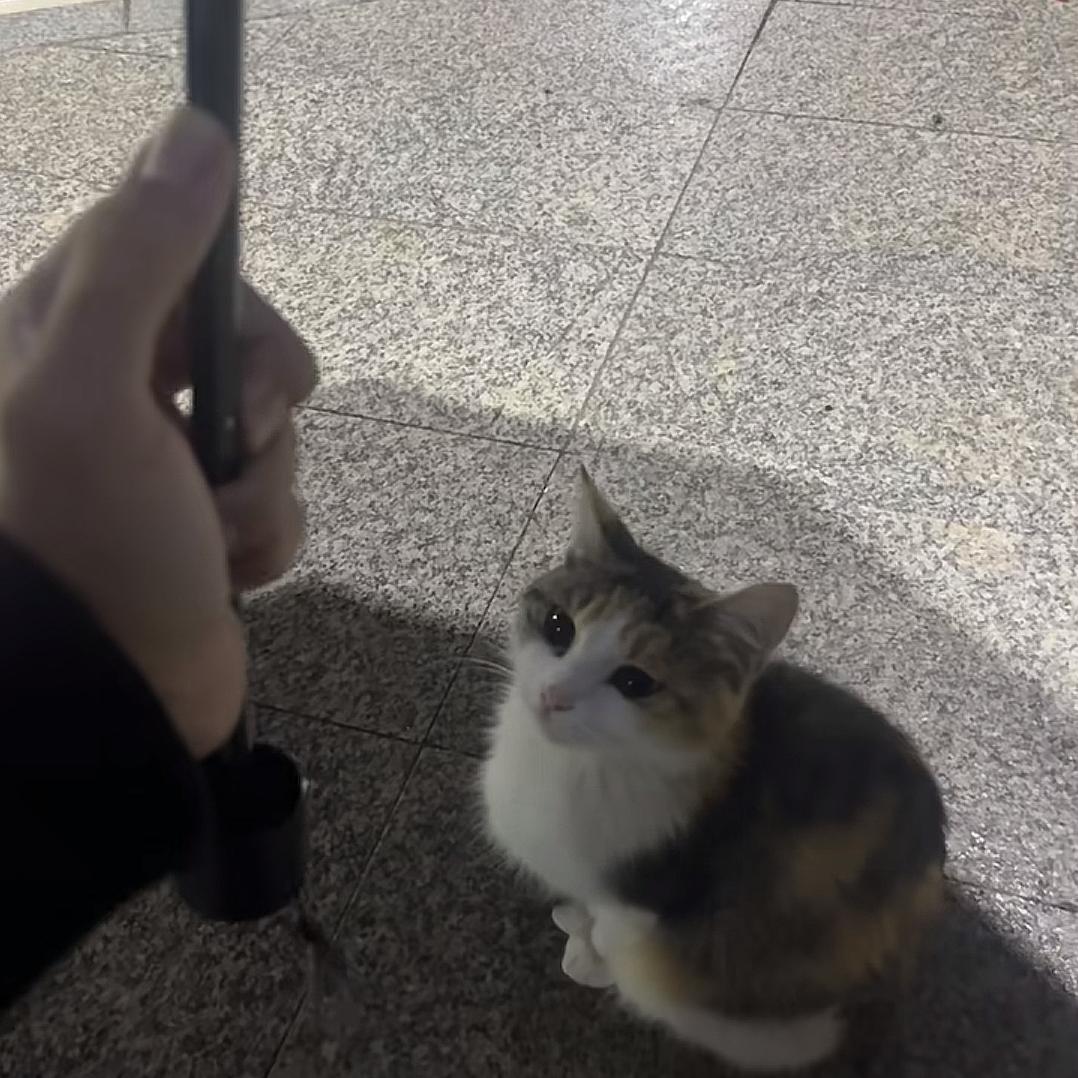 小小程