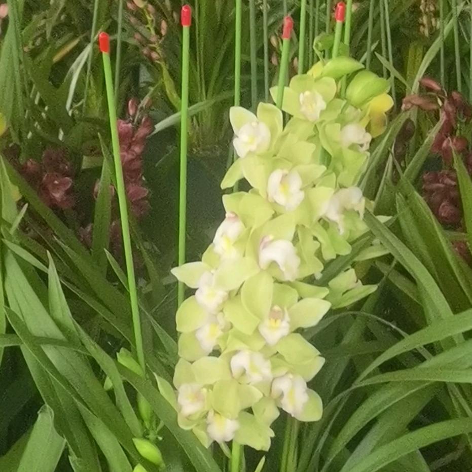 人生苦短