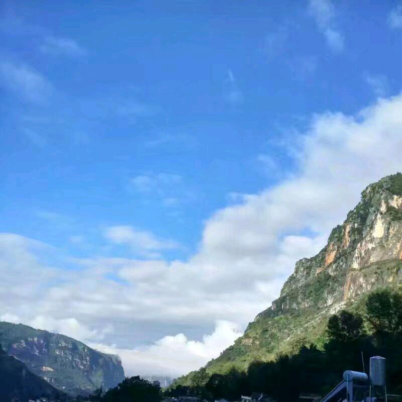 偏执