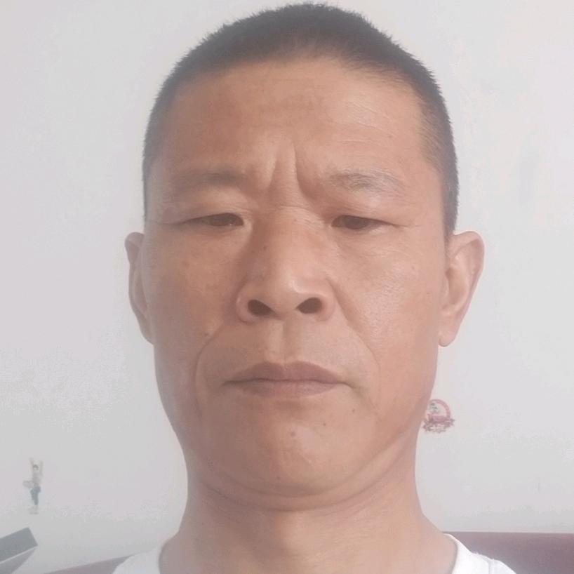 自由水果哥