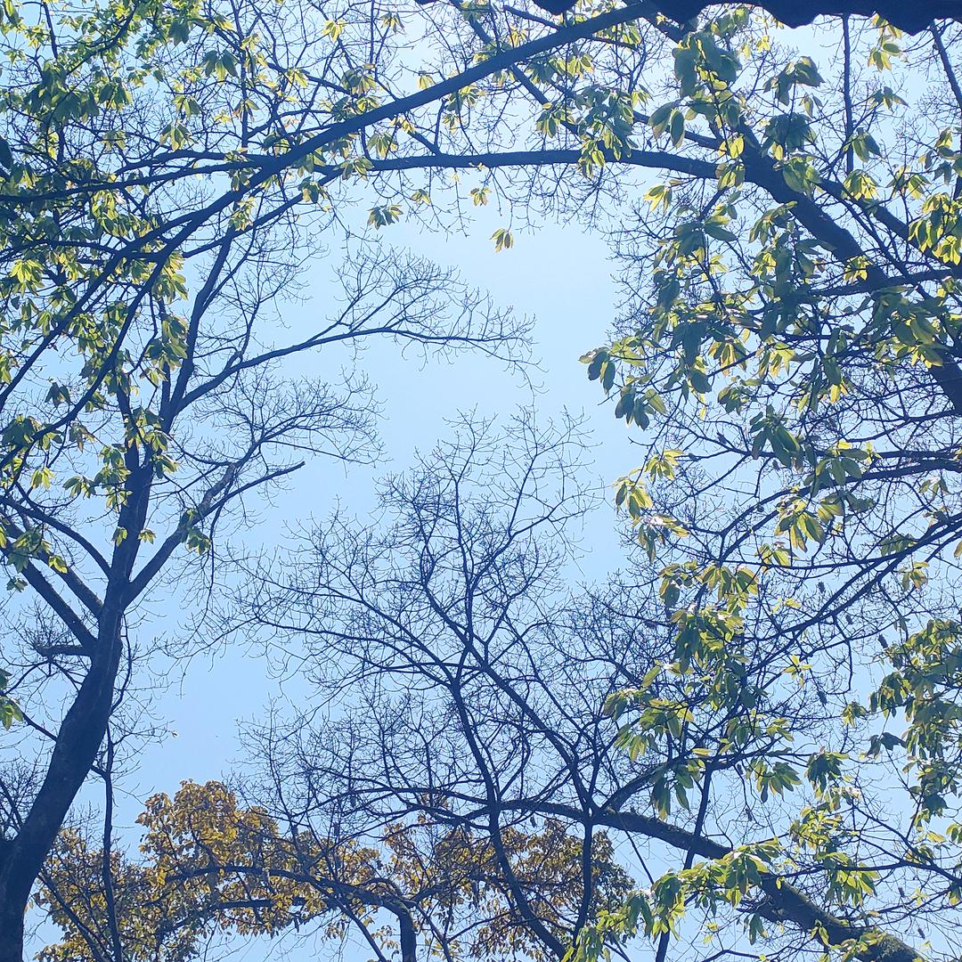 এ᭄浅笑不语꧔ꦿ᭄