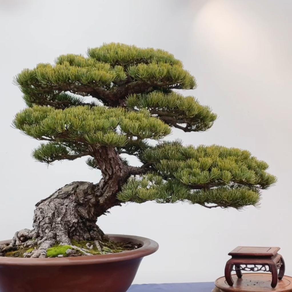润沐花艺坊