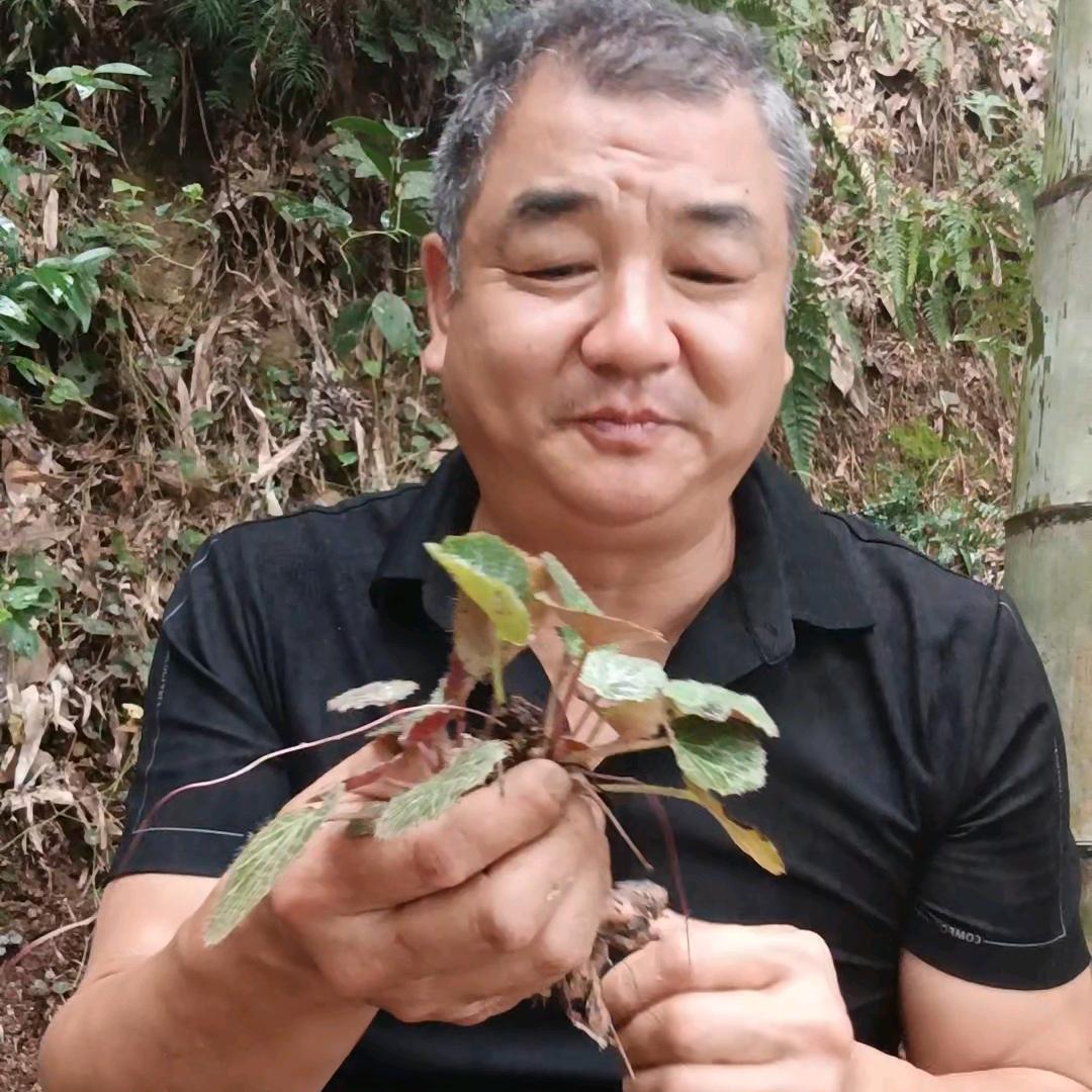潘哥和花草