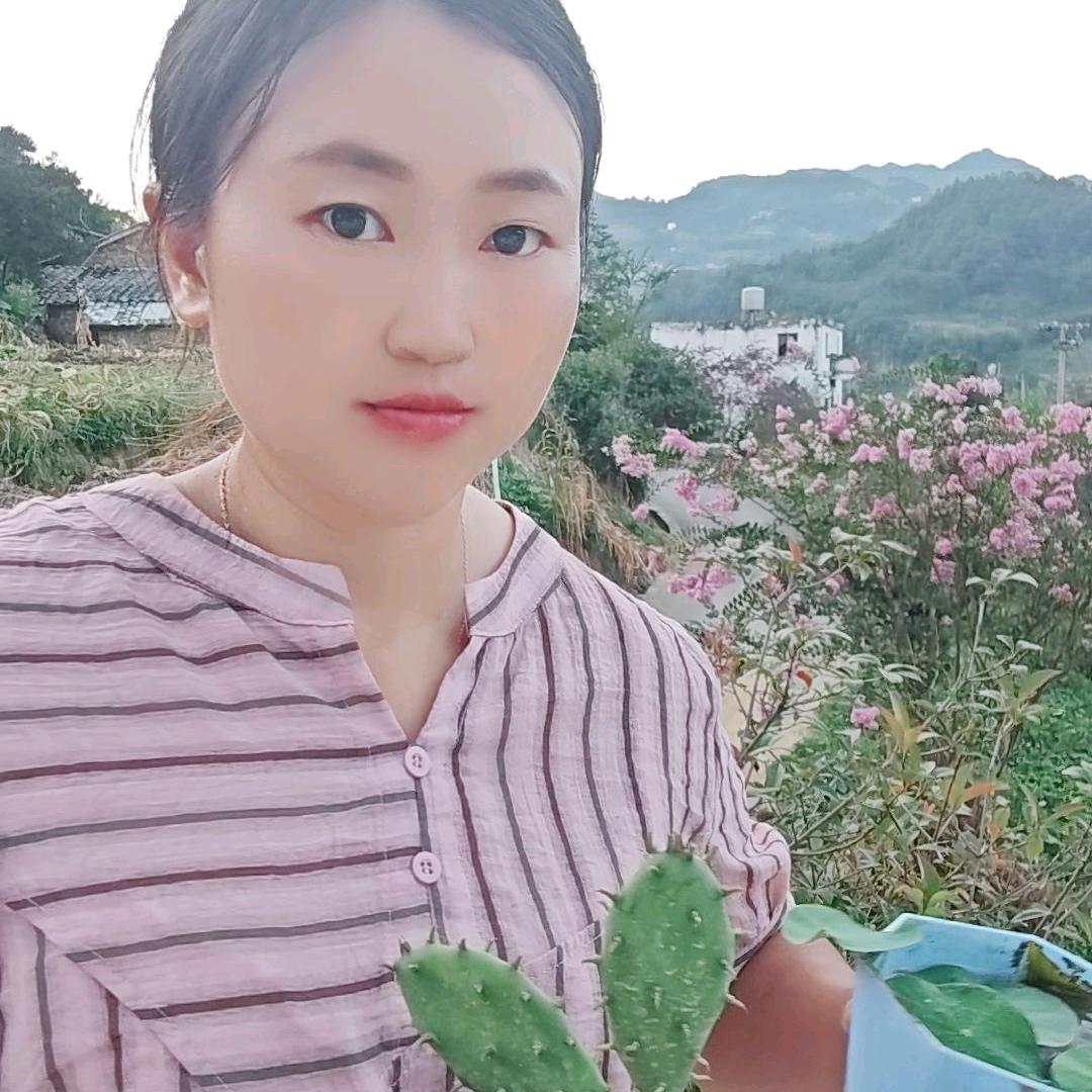 乡村囡姐