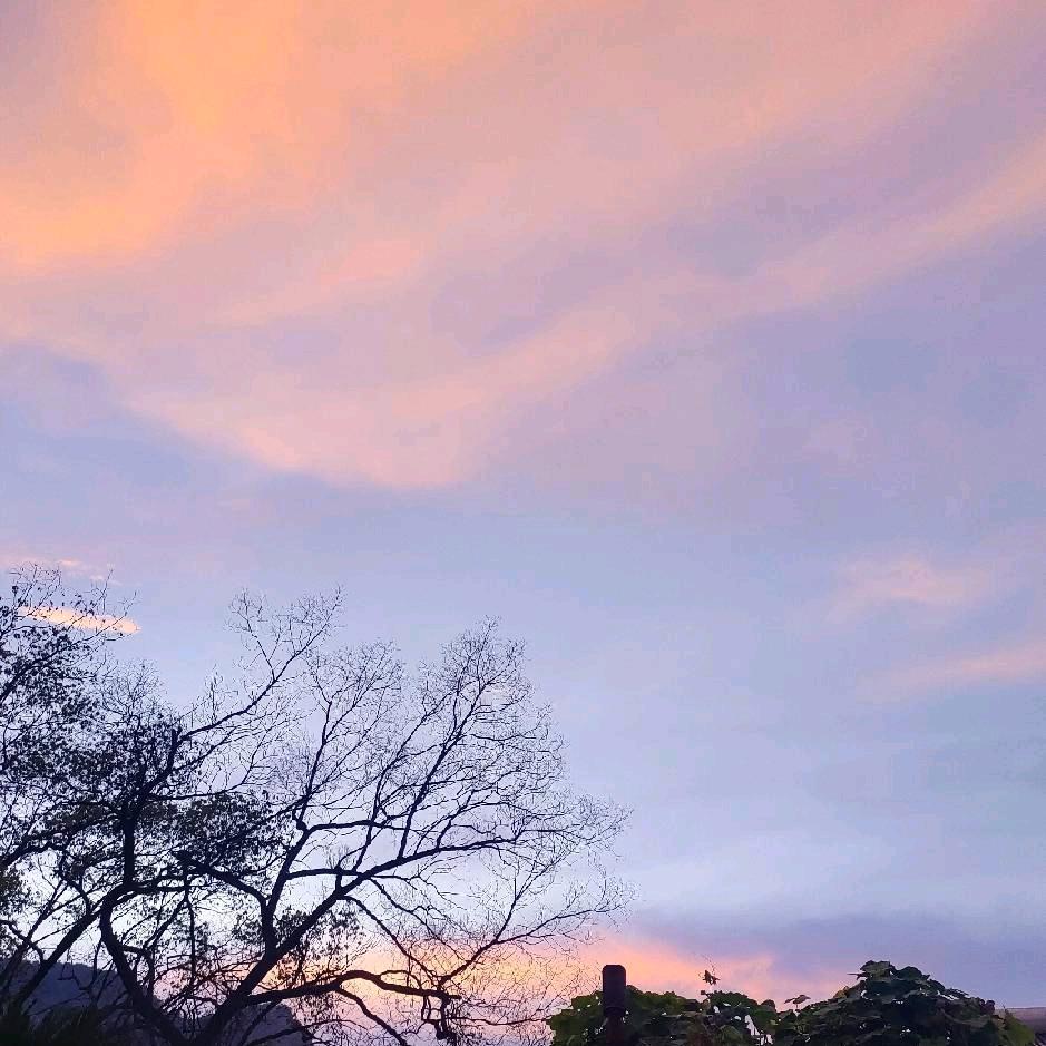 朝花夕拾